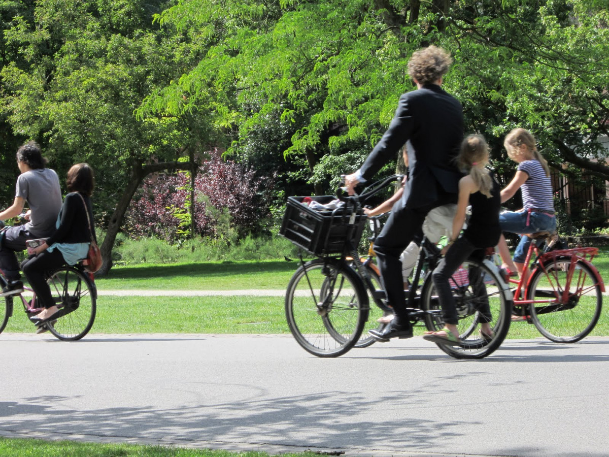 Chạy xe đạp đi làm bên hàng cây xanh 