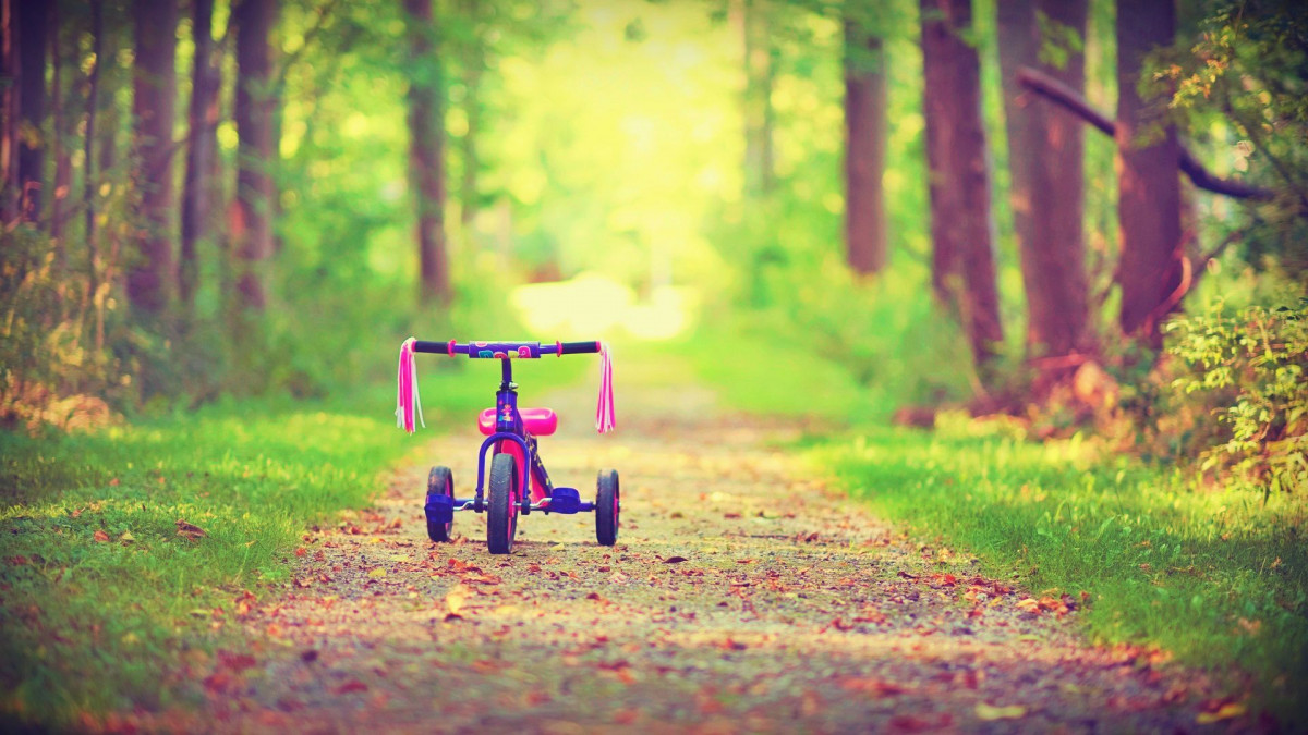Xe đạp trẻ em xinh xắn trên con đường lá vàng