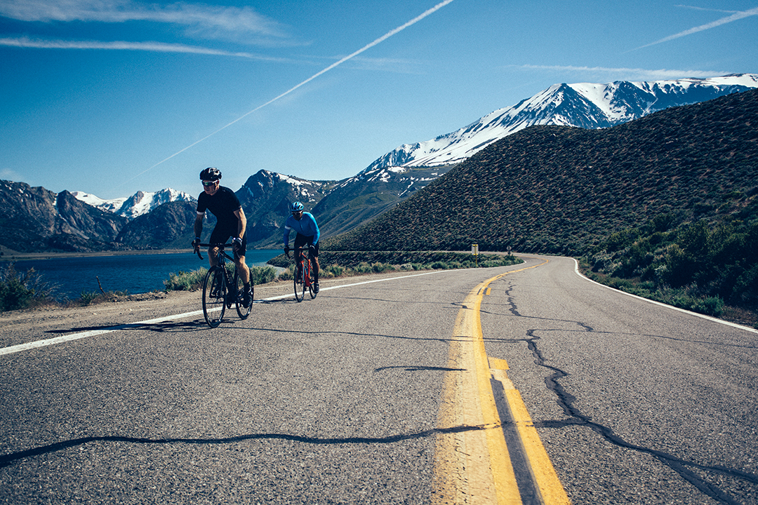 Hai người trung niên cùng nhau đạp xe đạp Giant dưới cảnh sắc thiên nhiên tươi đẹp