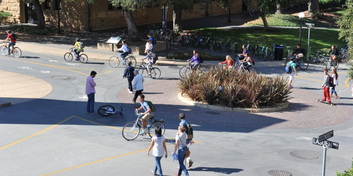 Rất nhiều bạn học sinh tự đạp xe đến trường mỗi ngày
