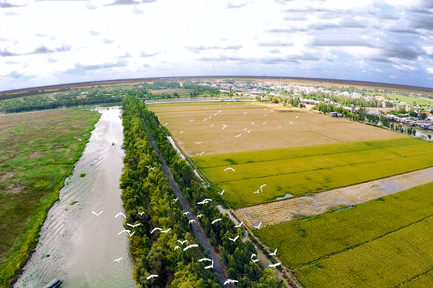 Một góc trời Long An bình yên đến lạ thường