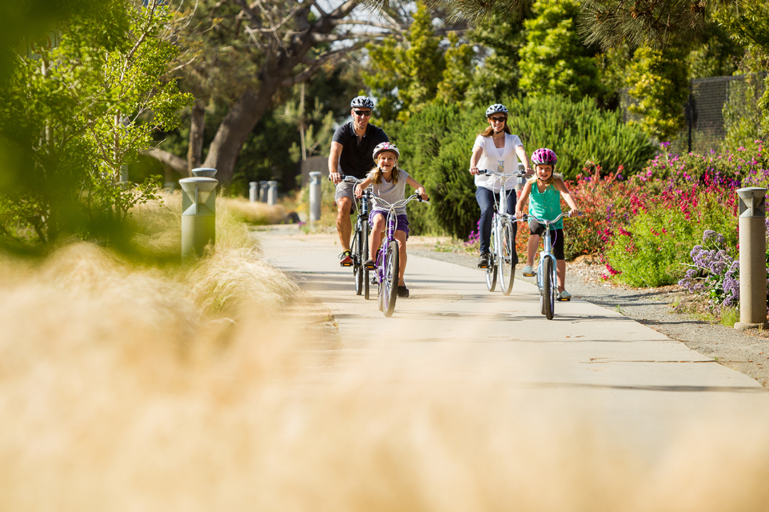 Chị em nội trợ đạp xe cùng gia đình tạo sự gắn kết giữa các thành viên