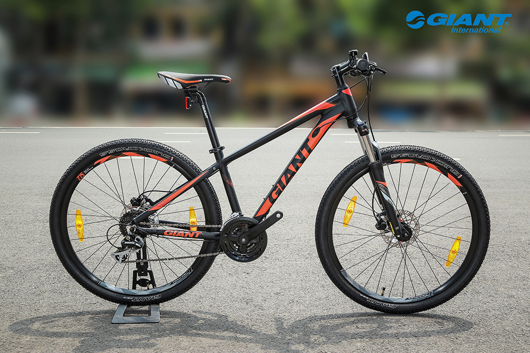 Rincon Disc 2019 hiện đã có mặt tại Showroom Giant International