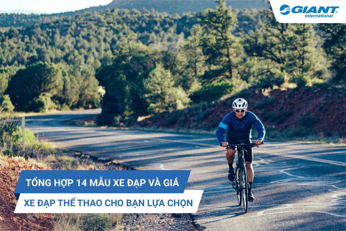 Tổng hợp 14 mẫu xe và giá xe đạp thể thao chất lượng cho bạn lựa chọn - Xe đạp Giant International - NPP độc quyền thương hiệu Xe đạp Giant Quốc tế tại Việt Nam