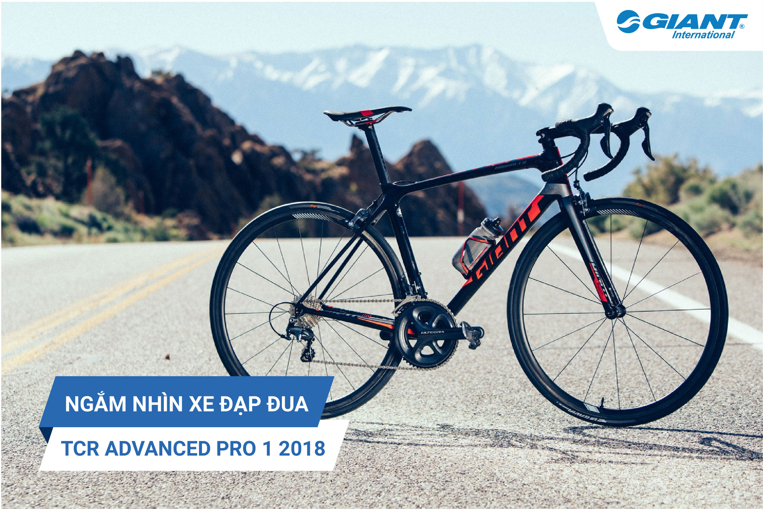 tcr advanced pro 1 2018