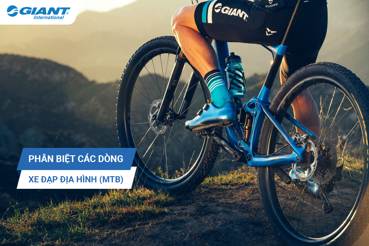 Phân Biệt Các Dòng Xe Đạp Địa Hình (Mountain Bike) - Xe đạp Giant International - NPP độc quyền thương hiệu Xe đạp Giant Quốc tế tại Việt Nam