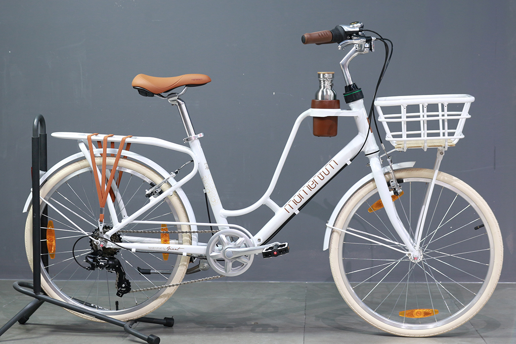 Xem hình ảnh chiếc xe đạp cũ tại Gò Vấp, bạn sẽ cảm thấy như đang được trở về quê hương của mình. Nơi đây gợi lên những kỉ niệm và cảm xúc đặc biệt với cuộc sống, nơi mà sự giản dị và tình cảm người dân luôn được đề cao.