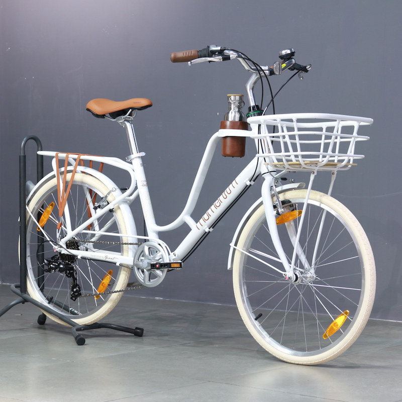 Xe đạp Favorit đầy hoài niệm đại gia các thêm tiền hỏi mua cũng không bán