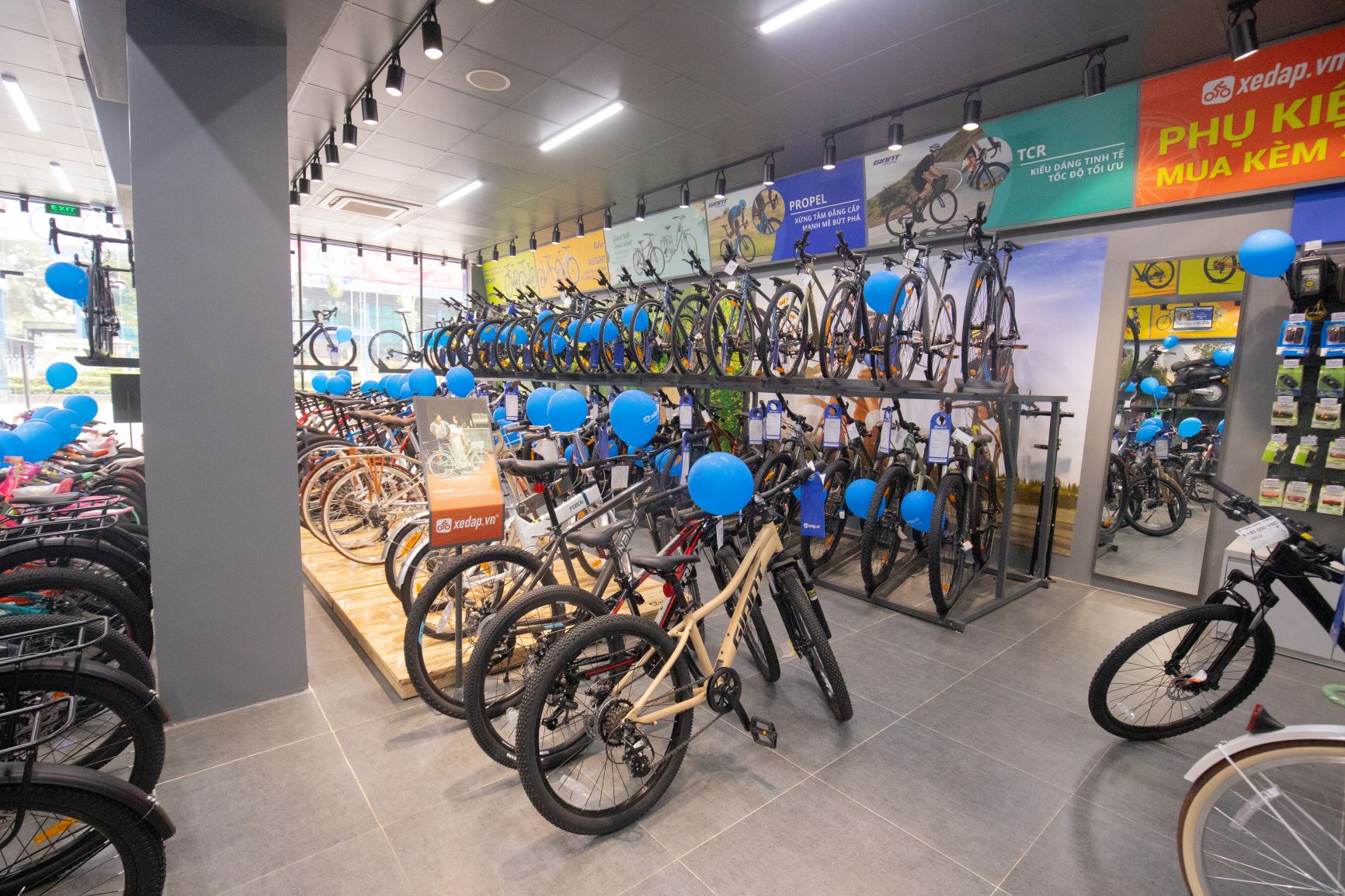 Những dòng xe đạp Giant mới nhất đến từ nhiều thương hiệu được trưng bày tại cửa hàng