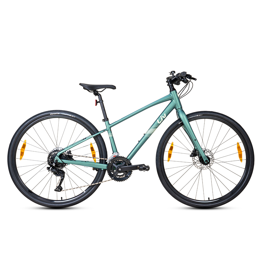 2025_Alight2Disc_MineralGreen