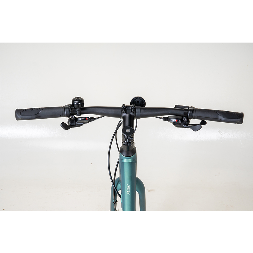 2025_Alight2Disc_MineralGreen_17