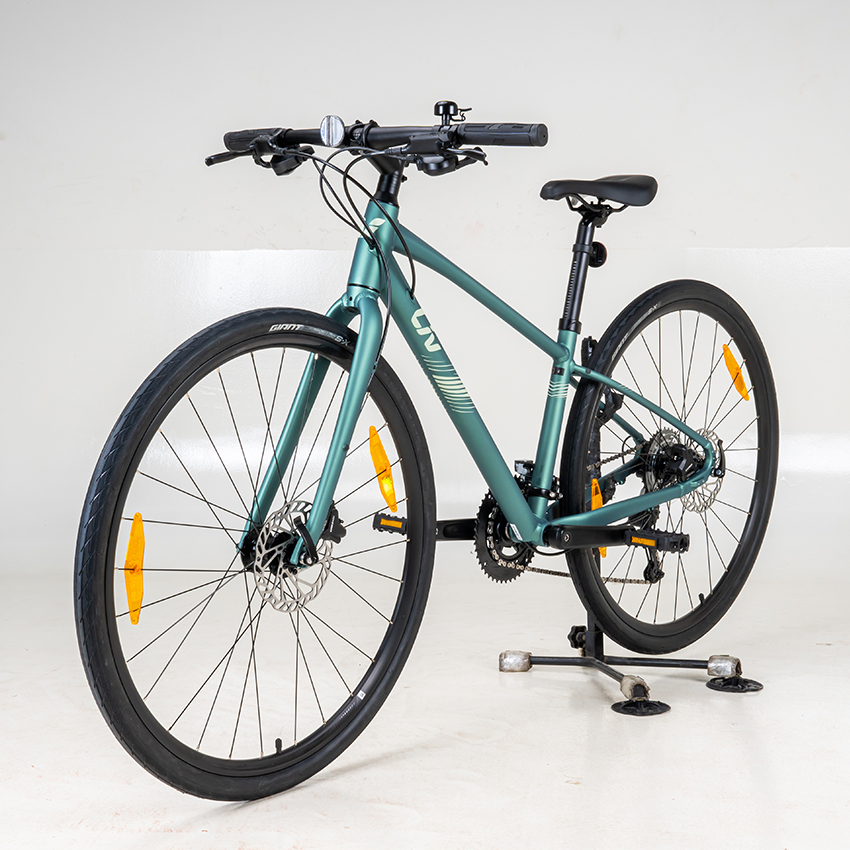 2025_Alight2Disc_MineralGreen_18