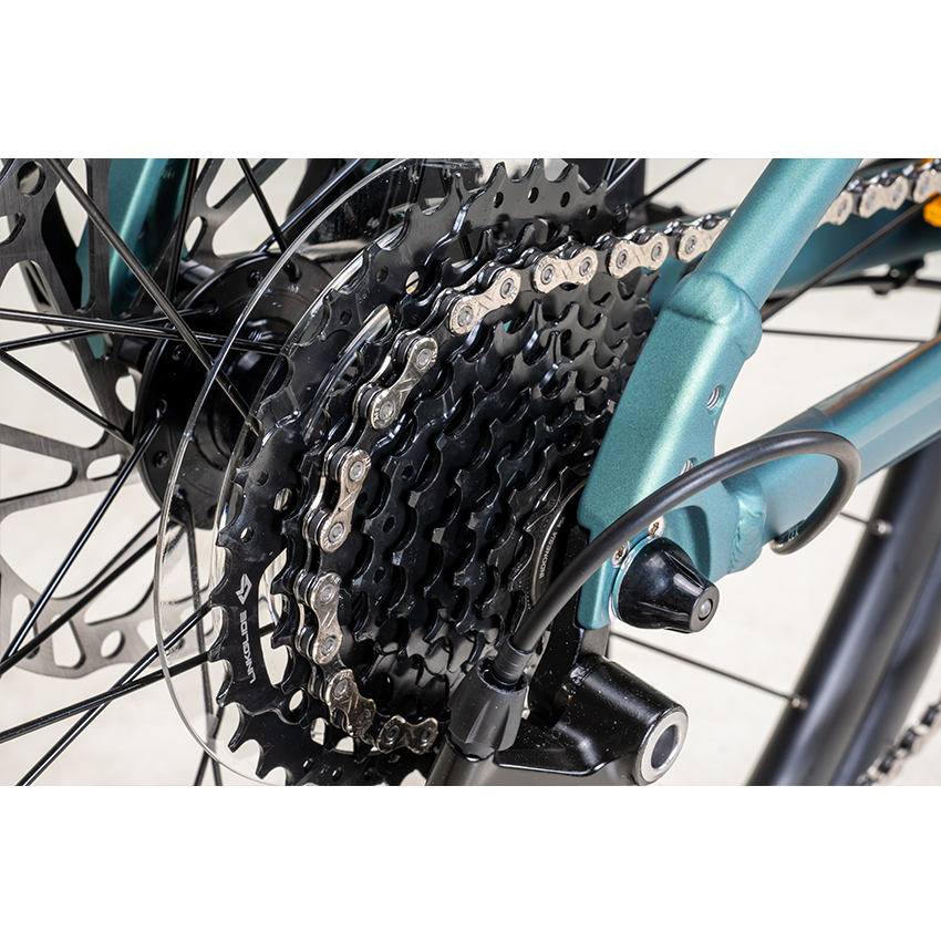 2025_Alight2Disc_MineralGreen_5